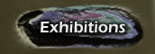 Exhibitions Info